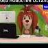 Shortsfeed Youtubeshorts мем барбоскины тимоха Shorts