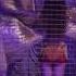 Belly Dance восточный танец с крыльями Деркач Валерия