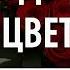 Он всегда дарил ей цветы но не потому что любил
