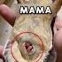 Чужих детей не бывает Shorts