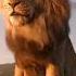 ЛЕВ ЦАРЬ ЗВЕРЕЙ Shorts Lion Is The King Of Animals