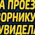 Спеша за наследством невеста богача оплатила проезд беспризорнику А когда увидела в кабинете