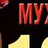16 Мухомор Бессоница AMANITA Insomnia Baba Masha