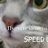 Пустите меня на танцпол Speed Up