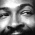 Marvin Gaye Heard It Through The Grapevine Freemasons Remix