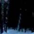 Evening Winter Forest Akademgorodok Вечерний зимний лес Академгородок