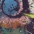 Psychedelic Energy
