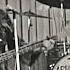 Aphrodite S Child You Always Stand In My Way Live In Lille France 1968