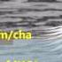 утка на заставку видео