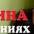 ЧЕГО ХОЧЕТ МУЖЧИНА ОТ ЖЕНЩИНЫ ЧЕГО ХОЧЕТ МУЖЧИНА В ОТНОШЕНИЯХ С ЖЕНЩИНОЙ