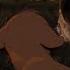 Simba Lion King 1994 2019 Multilanguage
