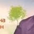 Дачный ответ НТВ 31 12 2012