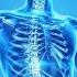 432 Hz Regenerates Body Tissues Sound Therapy Repairs DNA Healing Code