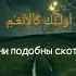 Сура Аль Араф Аят 179 180 Чтец Умар Хафиз Quran коран Umar Alaraf