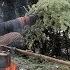 SOLO BUSHCRAFT CAMP 4 Items Only Natural Shelter Wild Game Over The Fire