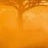 Villager SA Nylo M Gold Dust Afro Drum