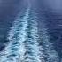 MSC Splendida At Sea Shorts