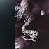 Hannes Bieger Olivia Foxglove Lucid Dream Original Mix Balance Music