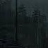 DARK FOREST Ambience And Music Sounds Of Dark Misty Forest With Ambient Music