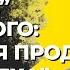 Зеленский продал Лигу Смеха российскому телеканалу Shorts