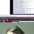The BEST PROGRAMMER On EARTH