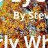 Bird S EYE View Steven Beddall