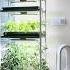 Green Up Your Home With Vego S Grow Light Garden