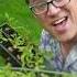 Replace Pesticides With This Power Flower