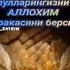 мусофирда юрган жигарларим жонларинг омон булсин 1don Laykni Bosib Kanalimga Obuna B Ng Uzbekistan