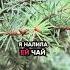 Моя лучшая подруга увела у меня мужа а спустя 10 лет стоит у меня на пороге свекровь истории