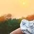 Shaam Se Official Lyrical Video Hansika Pareek JUNO Romantic Song