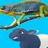 Rainforest Animals For Kids Rainforest Wildlife Sounds And Jungle Animals For Kids