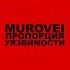 Пропорция уязвимости 6 раунд 17ib