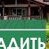 ВОСХИТИТЕЛЬНЫй САД вместо болота Влаголюбивые растения