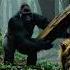 Gorilla Attacks Lion With Wood In Jungle