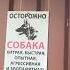 Табличка Осторожно злая собака