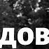 РЕАЛЬНО РАБОТАЮЩИЙ СПОСОБ ПОБЕДИТЬ ТРЕВОГУ доверие Богу факты евангелие дня