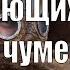 10 УЖАСАЮЩИХ ФАКТОВ О ЧУМЕ