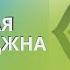 Шестая чакра АДЖНА