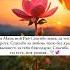 Ummi Ummitsummaummi Ummi Youtubeshorts шортс мама Mother Rek топ Munira