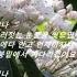 기다리겠어요1954년 원곡 남인수 석사랑