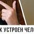 Как устроен человек НЕ ТАК КАК ТЫ ДУМАЕШЬ Василий Тушкин Аскеза в кедах