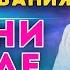 Онколог исследует жизнь после смерти интервью доктора Джеффри Лонга