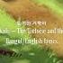 Stray Kids The Tortoise And The Hare 토끼와 거북이 Hangul And English Lyrics
