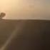 Техничный прыжок в воду пластом