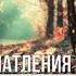 Осенние впечатления