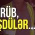 İndi Də Gecələr Sürücülərdən Pul Tələb Edirlər APA TV