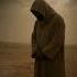 The Ants That Were Burned A True Hadith Story Soulful Ventures Islam Hadiths Islamicstory