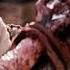 Passion Of The Christ Kandalo Aalariyukilla Crucifixion Unparalleled Love Love Of The Christ