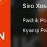 Pashik Poghosyan Siro Xostum
